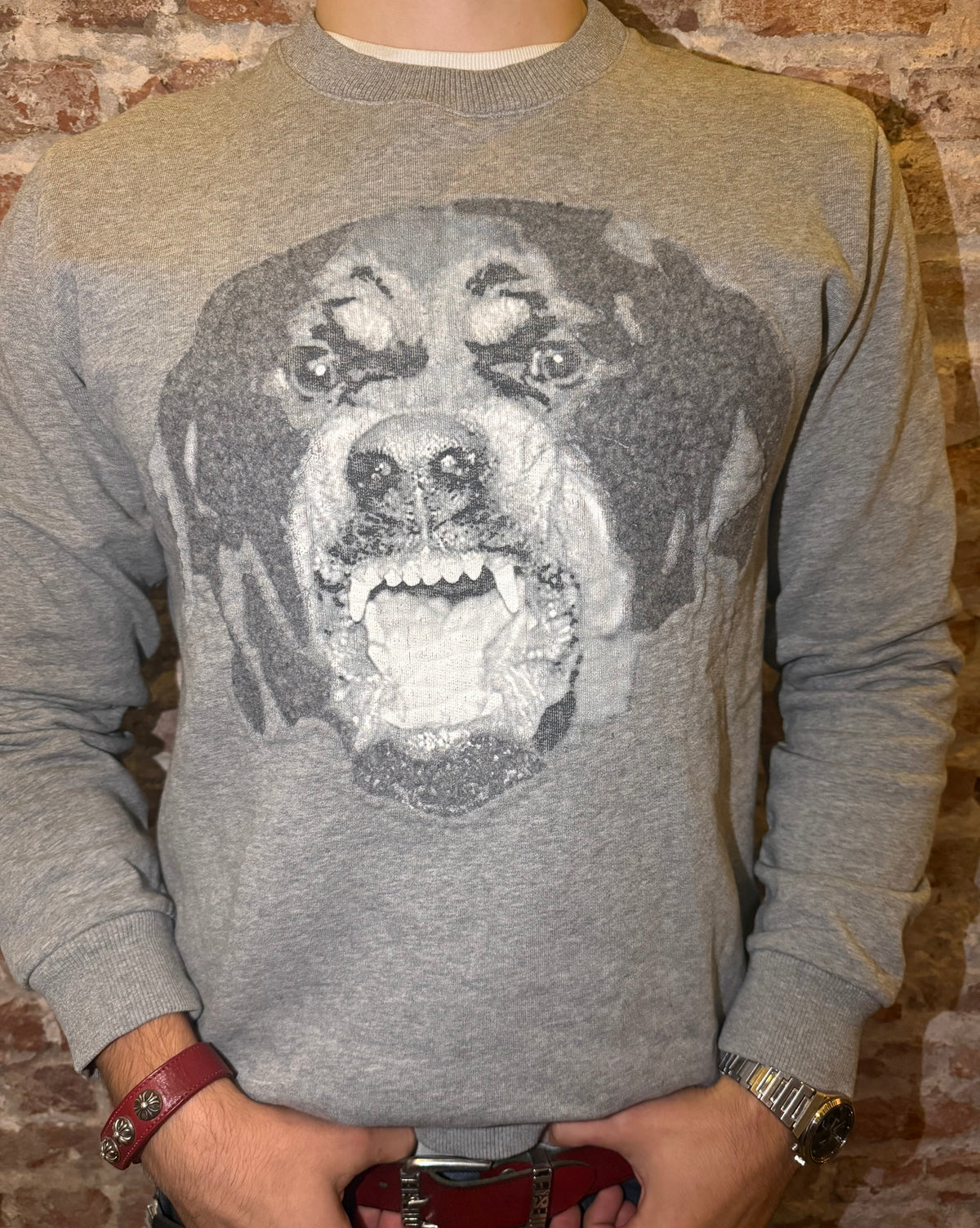 SS16 GIVENCHY ROTTWEILER SWEATER (M) So