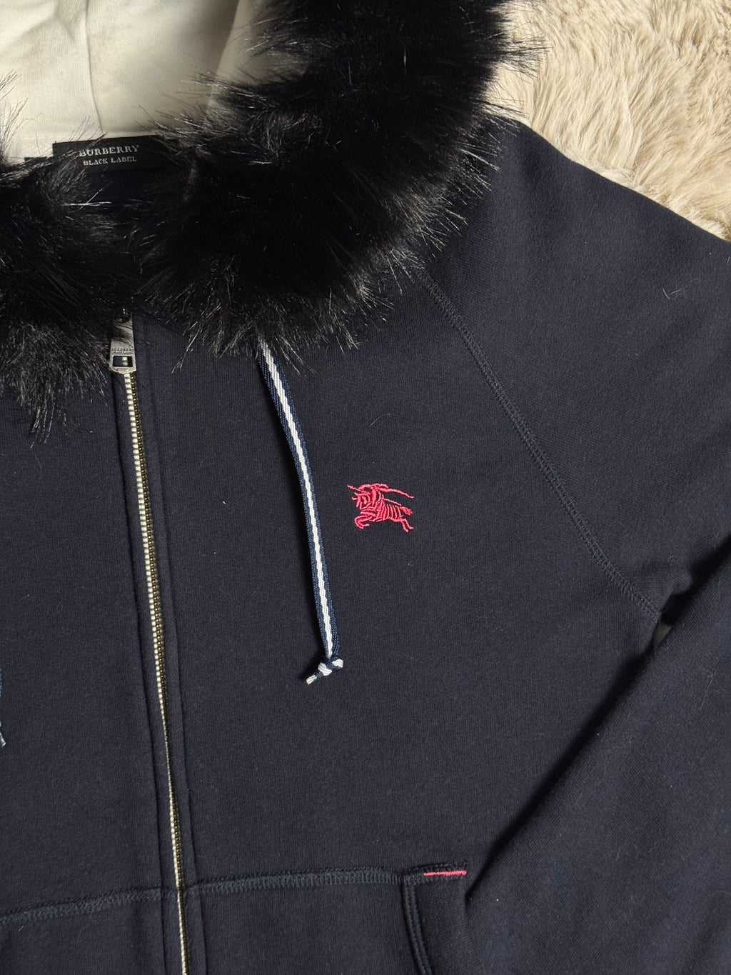 Japanese Burberry hoodie (2)