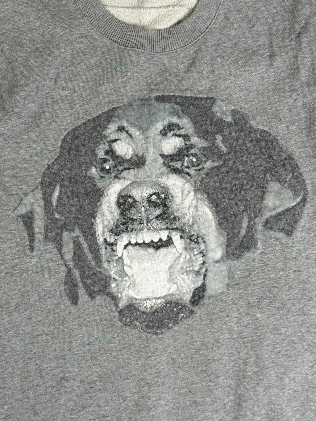 SS16 GIVENCHY ROTTWEILER SWEATER (M) So