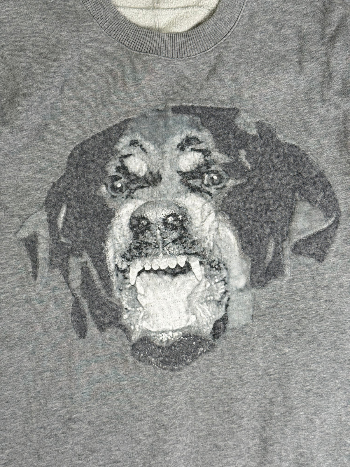 SS16 GIVENCHY ROTTWEILER SWEATER (M) So